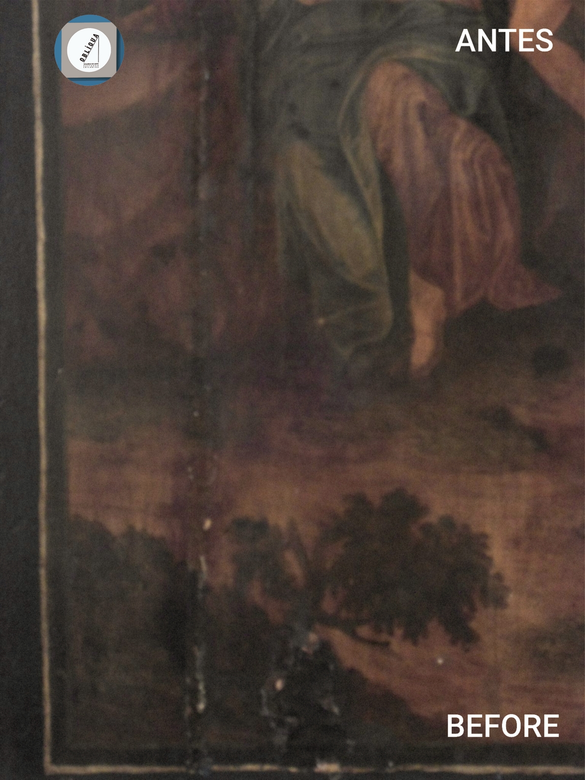louceiro sino-português D1.995.jpg